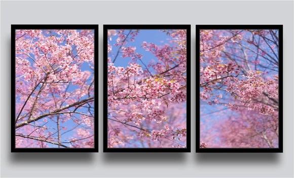 Kit 3 Quadros Decorativos Flores Cerejeira Botânico Molduras