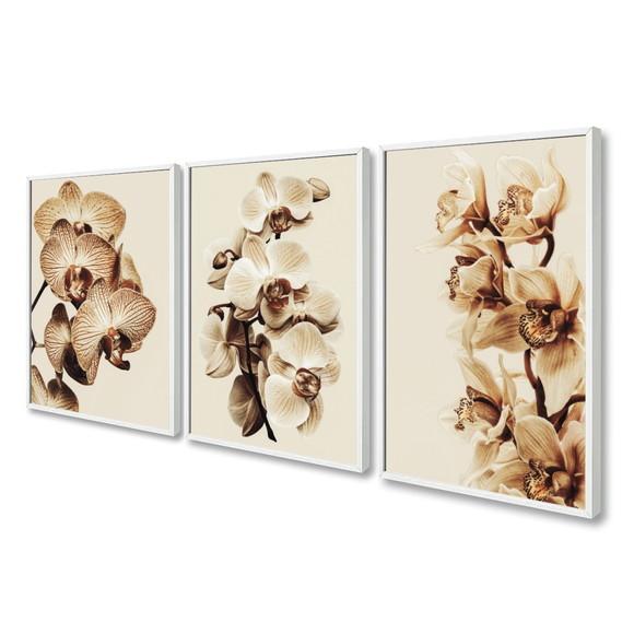 Kit 3 Quadros Decorativos Flores Orquídea Bege Com Moldura