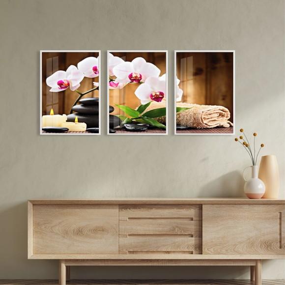 Kit 3 Quadros Decorativos Flores Orquídea Com Moldura Vidro