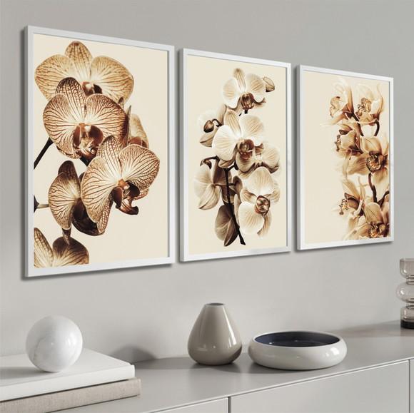 Kit 3 Quadros Decorativos Flores Orquídea Bege Com Moldura