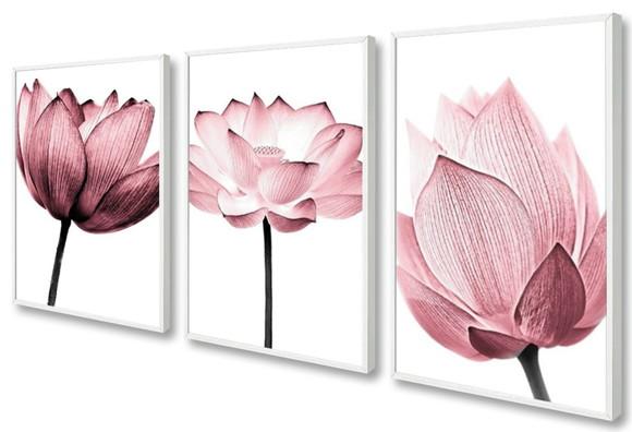 Kit 3 Quadros Decorativos Flores Para Sala Moderno Moldura