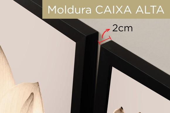 Kit 3 Quadros Decorativos Flores para Sala Moldura e Vidro