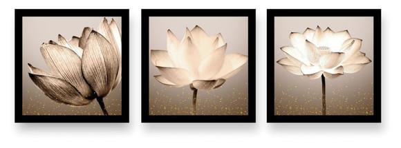 Kit 3 Quadros Decorativos Flores Para Sala Quarto Corredor