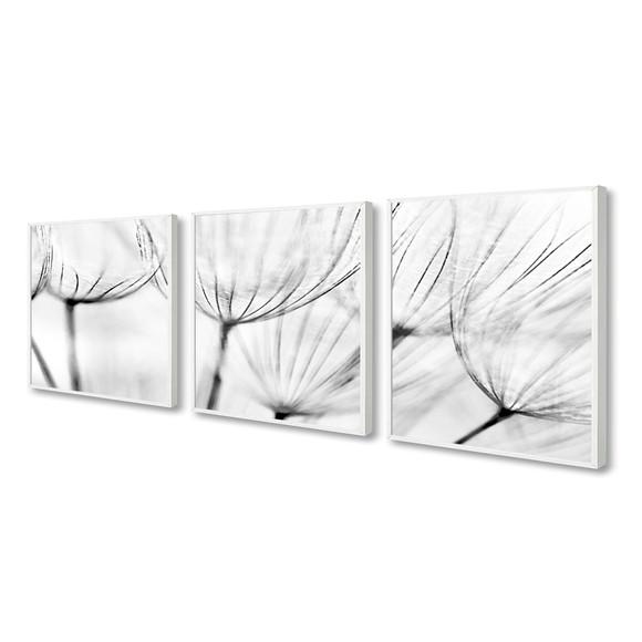Kit 3 Quadros Decorativos Flores Preto e Branco Com Moldura