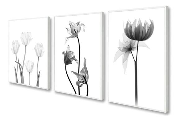 Kit 3 Quadros Decorativos Flores Preto e Branco Com Moldura