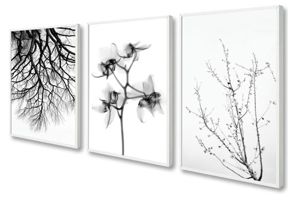 Kit 3 Quadros Decorativos Flores Preto e Branco Sala Moldura