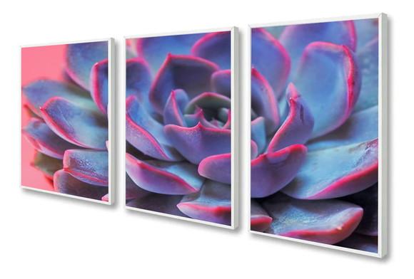 Kit 3 Quadros Decorativos Flores Suculenta Moderno Moldura