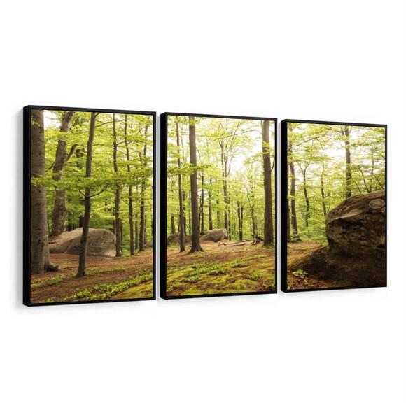 Kit 3 Quadros Decorativos Floresta Verde Paisagem Moldura