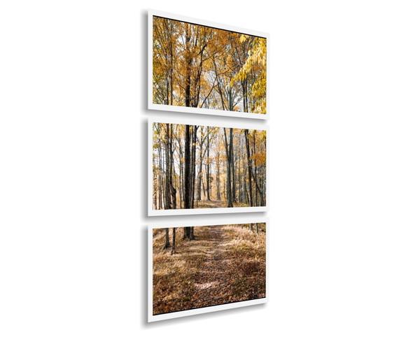 Kit 3 Quadros Decorativos Floresta Vertical Botânico Moldura