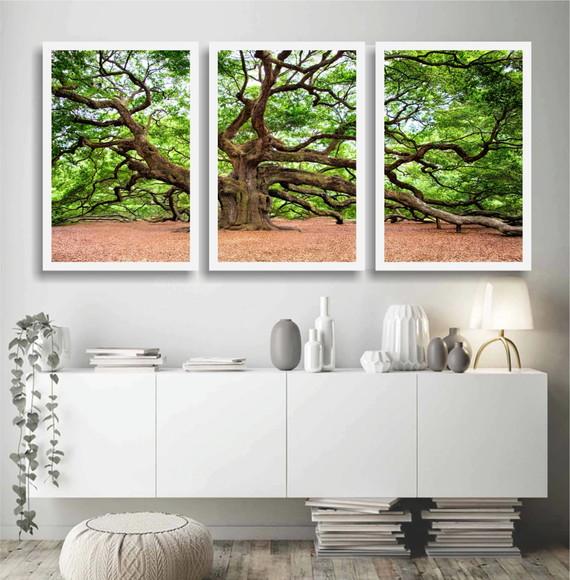 Kit 3 Quadros Decorativos Florestas Arvore Botânico Moldura