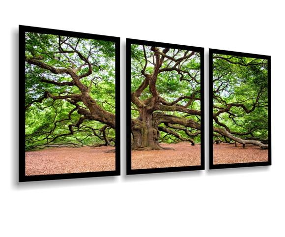 Kit 3 Quadros Decorativos Florestas Arvores Botânico Moldura