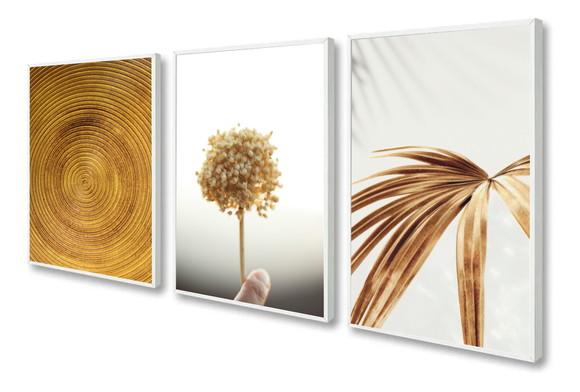 Kit 3 Quadros Decorativos Folhagem Abstrato Gold Com Moldura