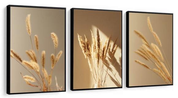 Kit 3 Quadros Decorativos Folhagem Bege Para Sala Moldura