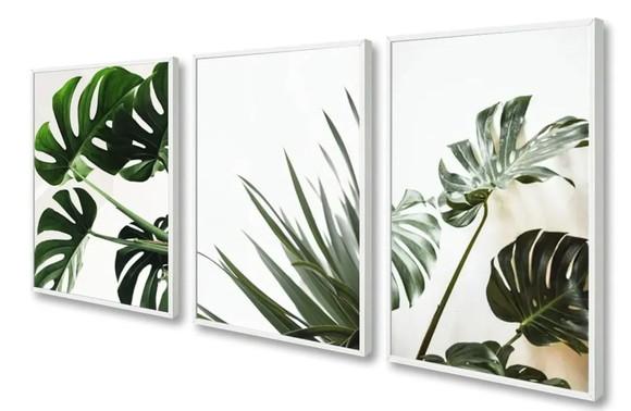 Kit 3 Quadros Decorativos Folhagem Costela De Adão Moldura