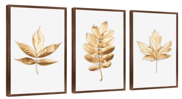 Kit 3 Quadros Decorativos Folhagem Dourada Modernos Molduras