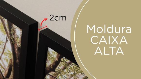Kit 3 Quadros Decorativos Folhagem Dourada Para Sala Moldura