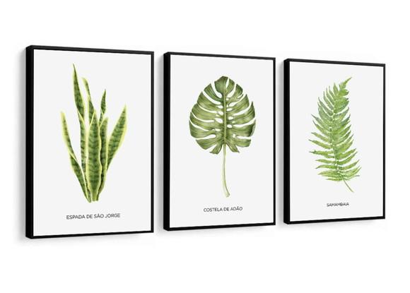 Kit 3 Quadros Decorativos Folhagem Frases Moderno Moldura