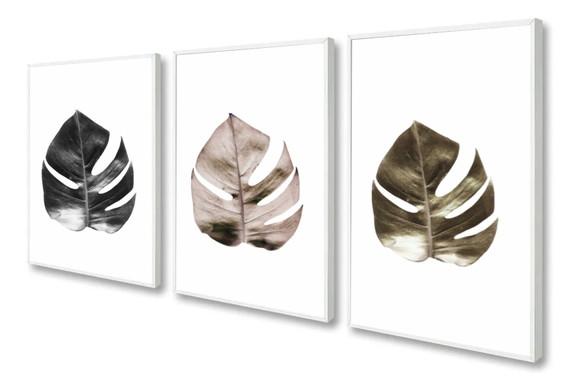 Kit 3 Quadros Decorativos Folhagem Monstera Moderno Moldura