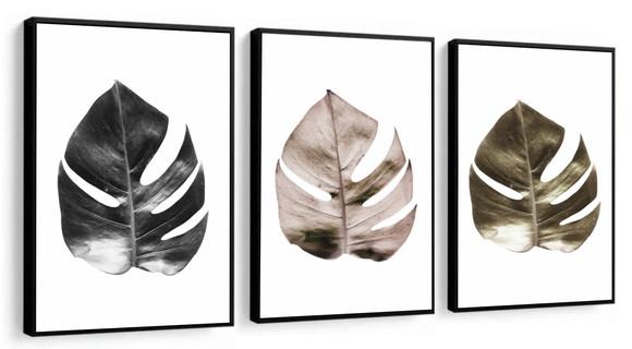 Kit 3 Quadros Decorativos Folhagem Monstera Sala Com Moldura