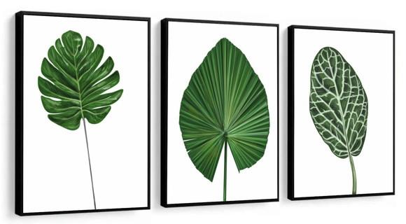 Kit 3 Quadros Decorativos Folhagem Para Sala Quarto Moldura