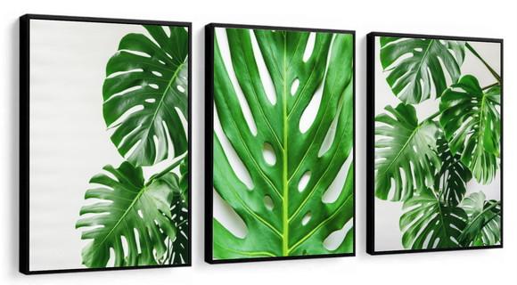 Kit 3 Quadros Decorativos Folhagem Verde Conjunto Moldura