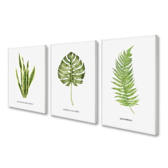 Kit 3 Quadros Decorativos Folhagem Verde Frases Com Moldura