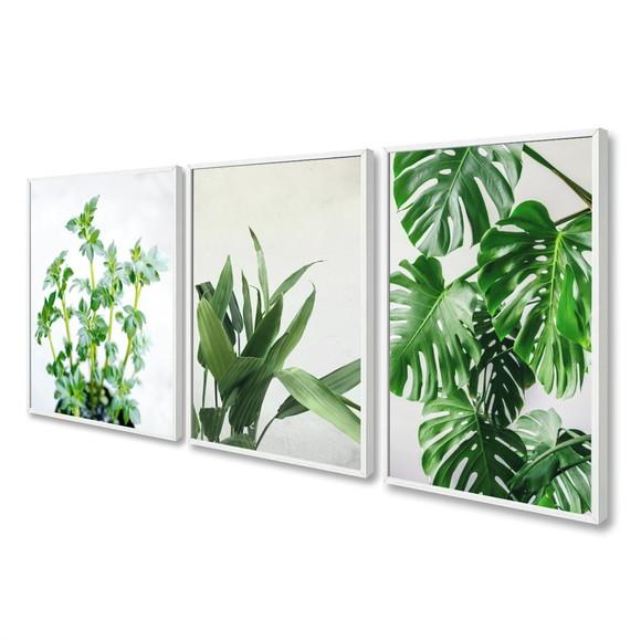 Kit 3 Quadros Decorativos Folhagem Verde Moderna com Moldura