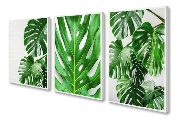 Kit 3 Quadros Decorativos Folhagem Verde Moderno Com Moldura