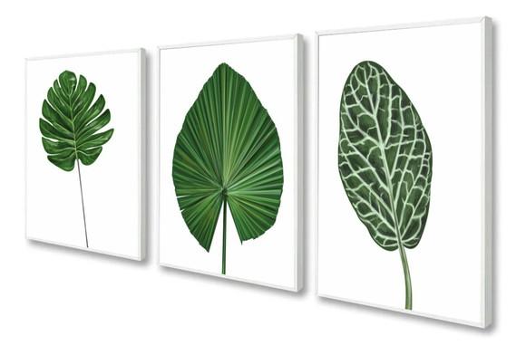 Kit 3 Quadros Decorativos Folhagem Verde Para Sala Moldura