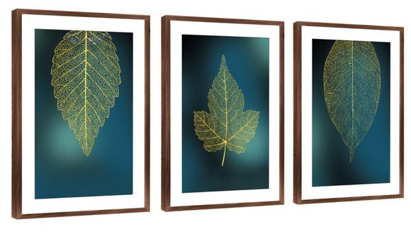Kit 3 Quadros Decorativos Folhagem Verde Para Sala Moldura