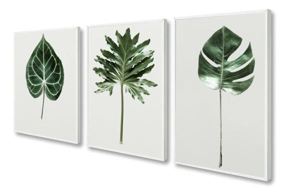 Kit 3 Quadros Decorativos Folhagem Verde Para Sala Moldura