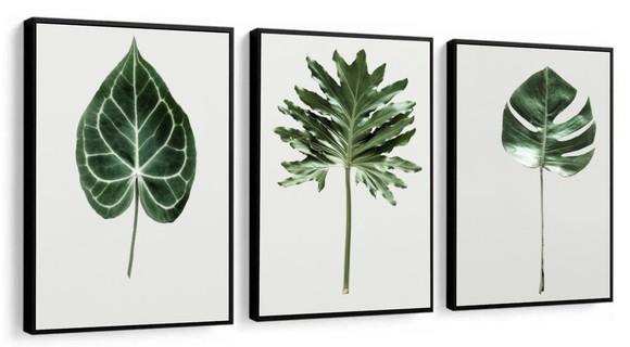 Kit 3 Quadros Decorativos Folhagem Verde Para Sala Quarto