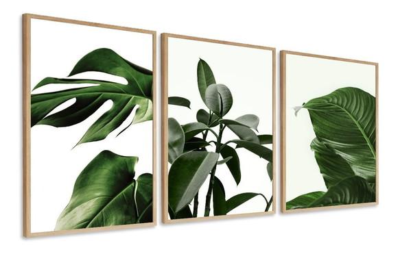 Kit 3 Quadros Decorativos Folhas Verdes Folhagem Com Moldura
