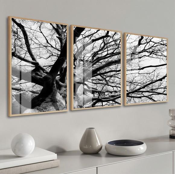 Kit 3 Quadros Decorativos Galhos para Sala com Moldura Vidro