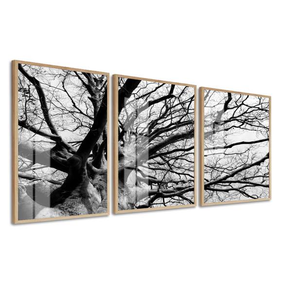 Kit 3 Quadros Decorativos Galhos para Sala com Moldura Vidro
