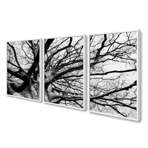 Kit 3 Quadros Decorativos Galhos Preto E Branco Com Moldura