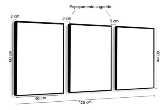 Kit 3 Quadros Decorativos Leão Nunca Foi Sorte com Moldura