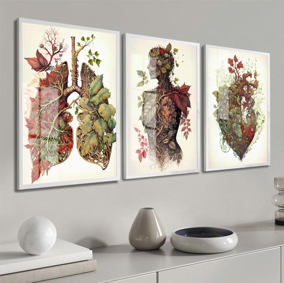 Kit 3 Quadros Decorativos Medicina Anatomia Moldura e Vidro