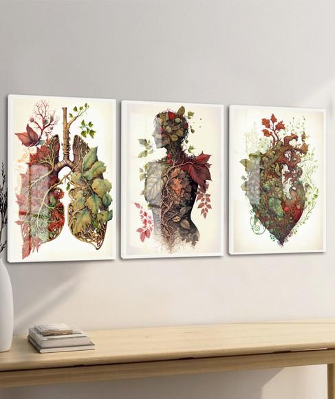 Kit 3 Quadros Decorativos Medicina Anatomia Moldura e Vidro