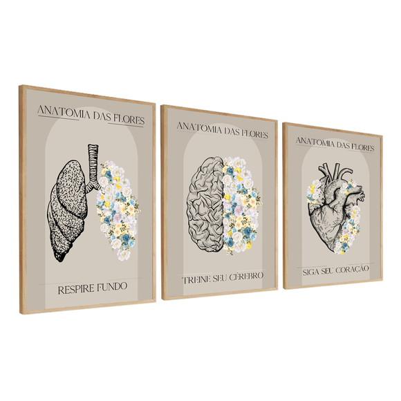 Kit 3 Quadros Decorativos Medicina Consultório Com Moldura