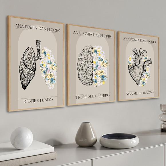 Kit 3 Quadros Decorativos Medicina Consultório Com Moldura