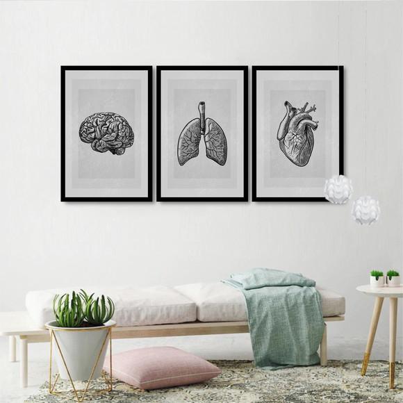 Kit 3 Quadros Decorativos Medicina Consultório Com Moldura