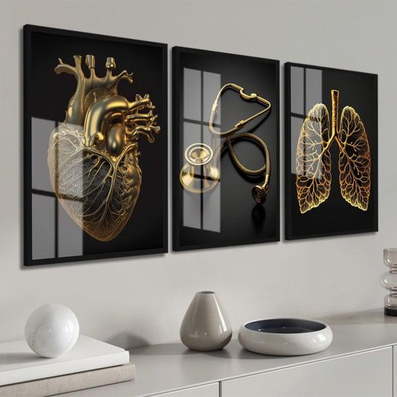 Kit 3 Quadros Decorativos Medicina Coração Moldura e Vidro