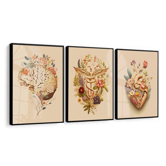 Kit 3 Quadros Decorativos Medicina Consultório Moldura Vidro