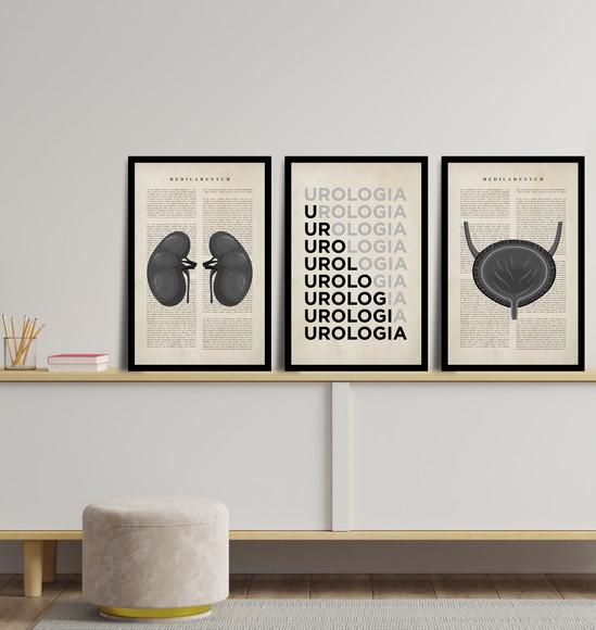 Kit 3 Quadros Decorativos Medicina Urologia Anatomia Moldura