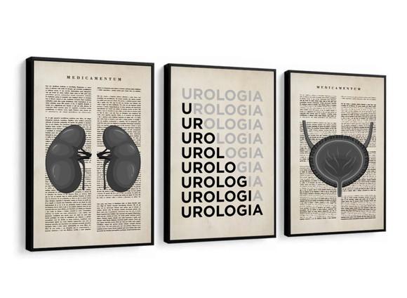 Kit 3 Quadros Decorativos Medicina Urologia Anatomia Moldura