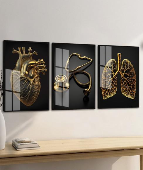 Kit 3 Quadros Decorativos Medicina Coração Moldura e Vidro