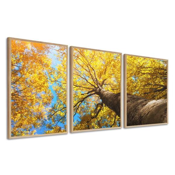 Kit 3 Quadros Decorativos Moderno Arvore Ipê Amarelo Moldura