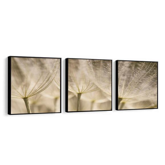 Kit 3 Quadros Decorativos Moderno Dente De Leão Flor Moldura