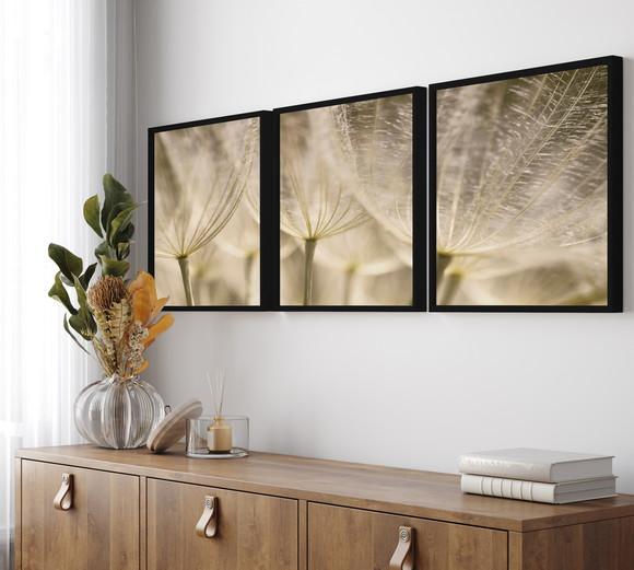 Kit 3 Quadros Decorativos Moderno Dente De Leão Flor Moldura